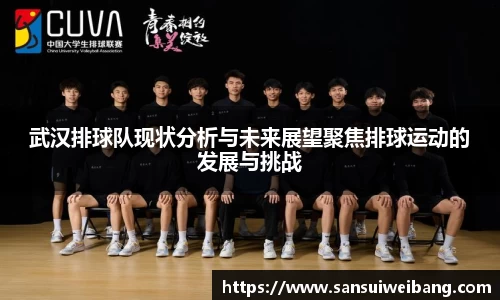 武汉排球队现状分析与未来展望聚焦排球运动的发展与挑战